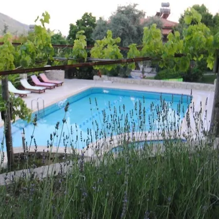 Kleo Hotel