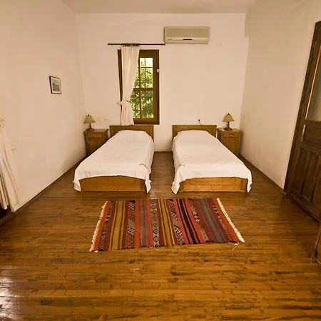 Kleo Kalkan