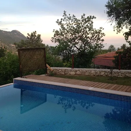 Kleo * Kalkan