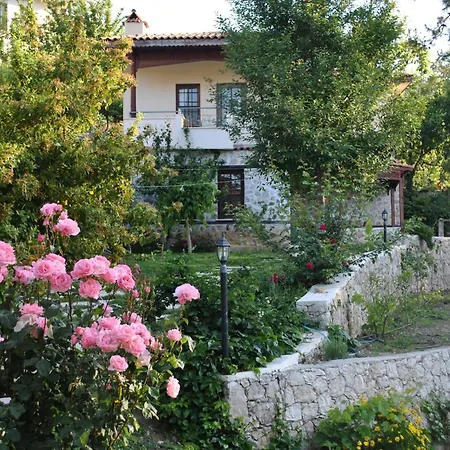 Kleo Kalkan