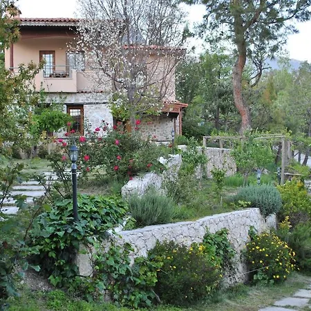 Kleo Hotel *