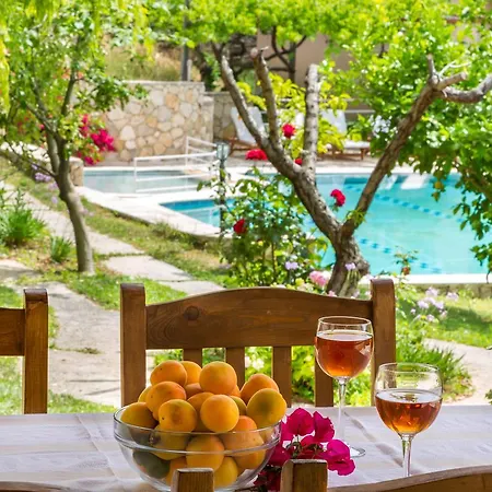 Kleo * Kalkan