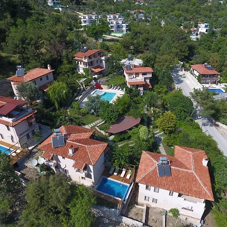 Kleo Kalkan