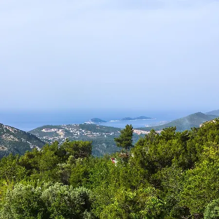 Kleo * Kalkan