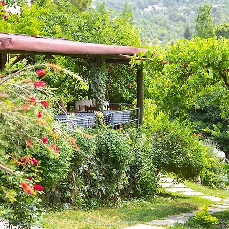 Hotel Kleo Kalkan