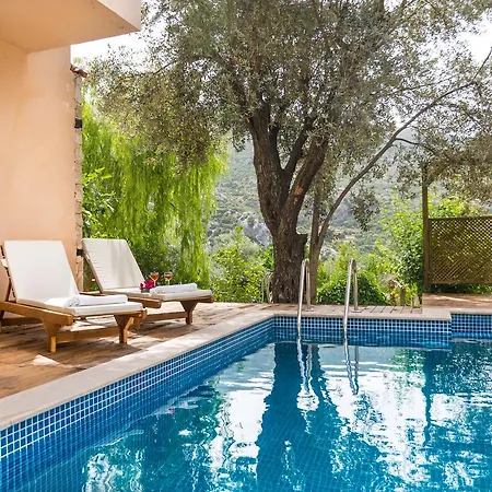 Kleo * Kalkan