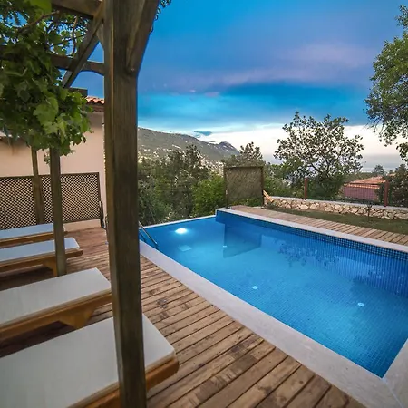 Kleo Kalkan