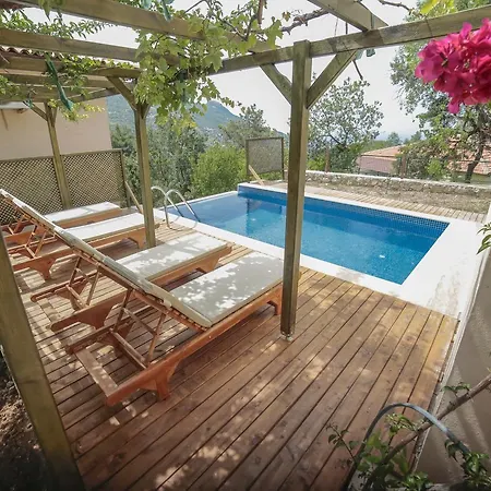 Kleo * Kalkan