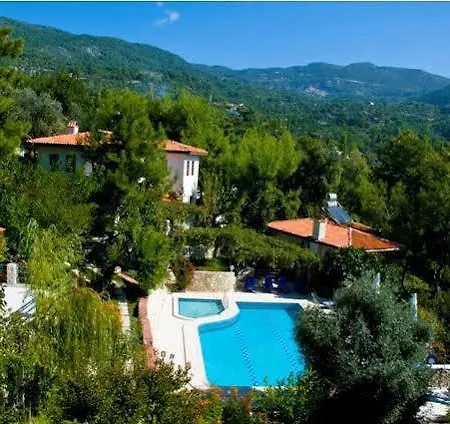Kleo * Kalkan