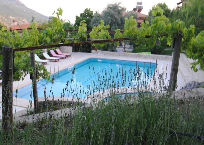 Kleo Hotel