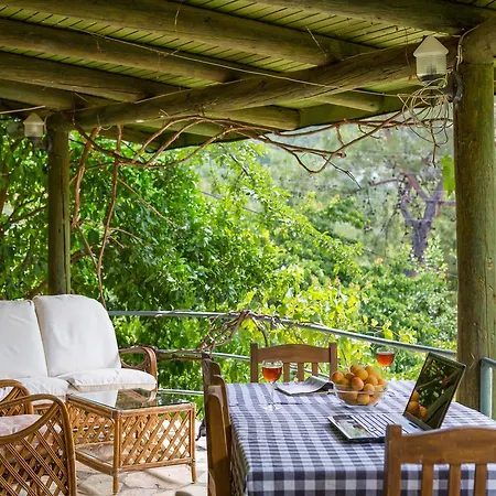 מלון Kleo קלקן